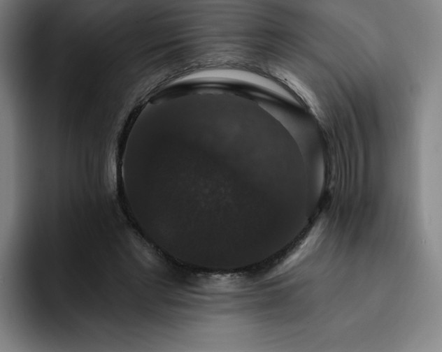 X0000092320493200709211332