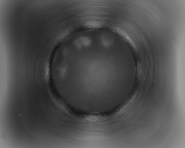 X0000092320494200709211332