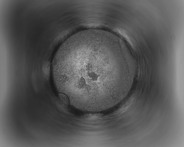 X0000092320495200709211332