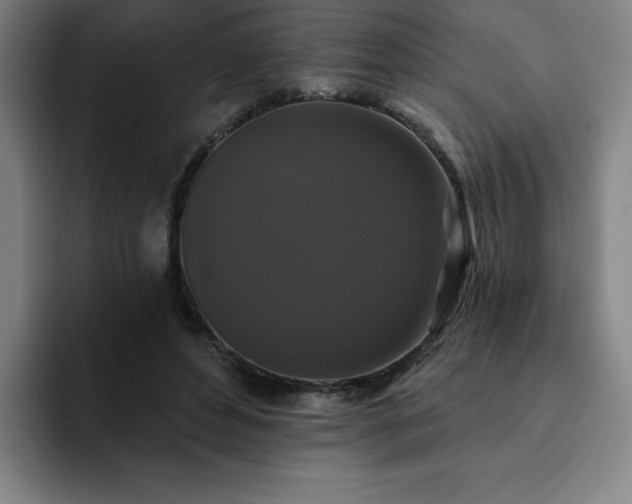 X0000092320496200709211332