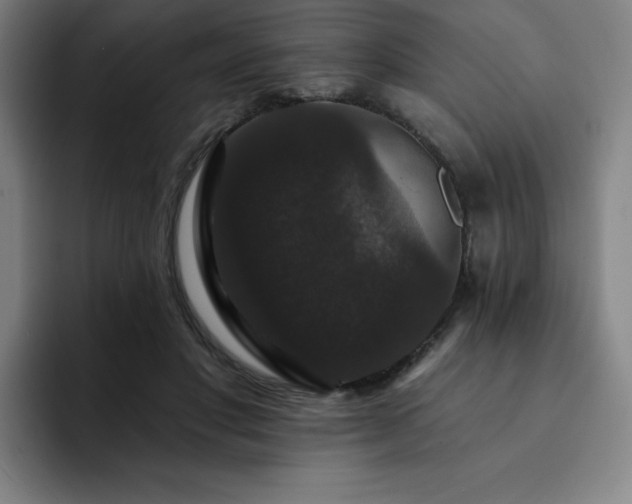 X0000092320501200709211332