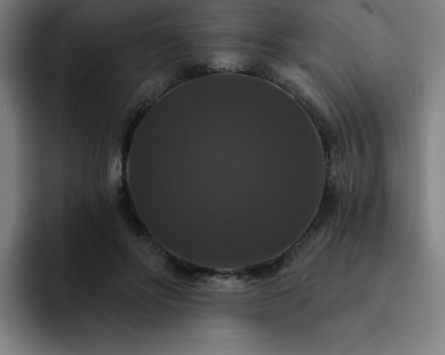X0000092320502200709211332
