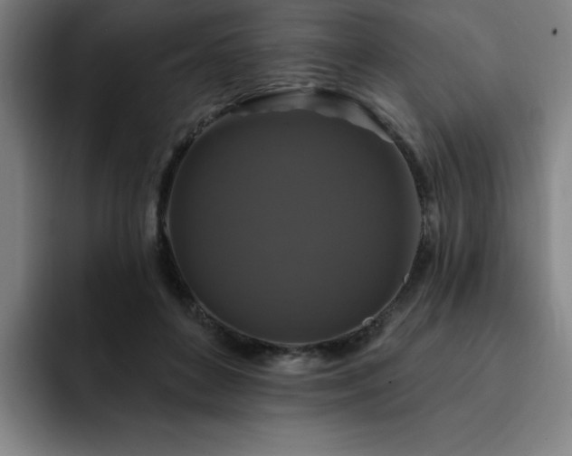 X0000092320504200709211332