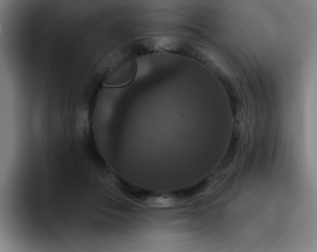 X0000092320506200709211332