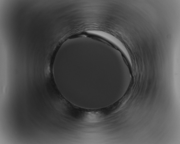 X0000092320508200709211332