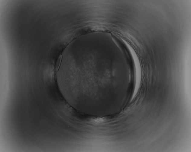 X0000092320513200709211332