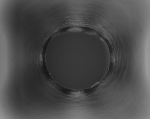 X0000092320516200709211332