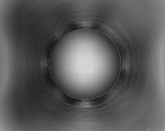 X0000092320518200709211332