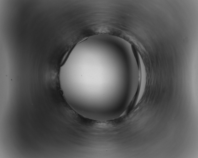 X0000092320521200709211332