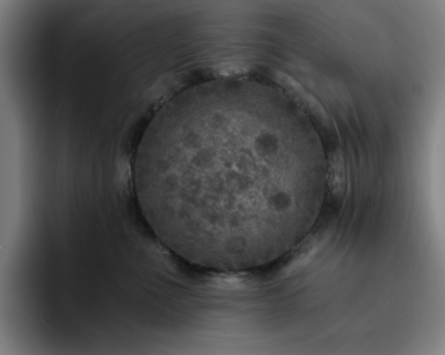 X0000092320523200709211332