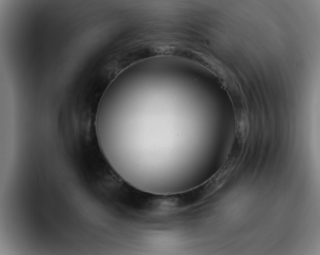 X0000092320525200709211332