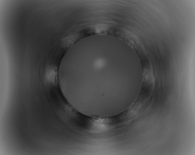 X0000092320527200709211331