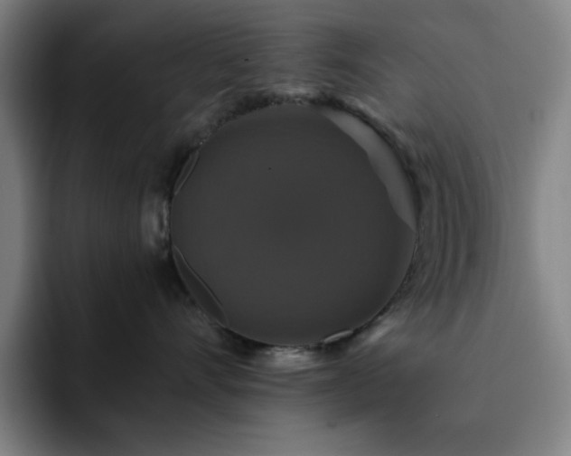 X0000092320528200709211331