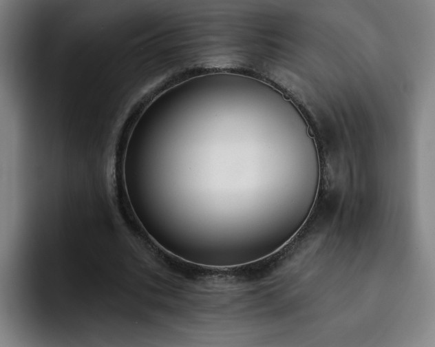 X0000092320535200709211331
