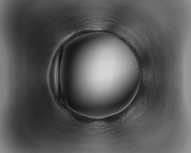 X0000092320536200709211331