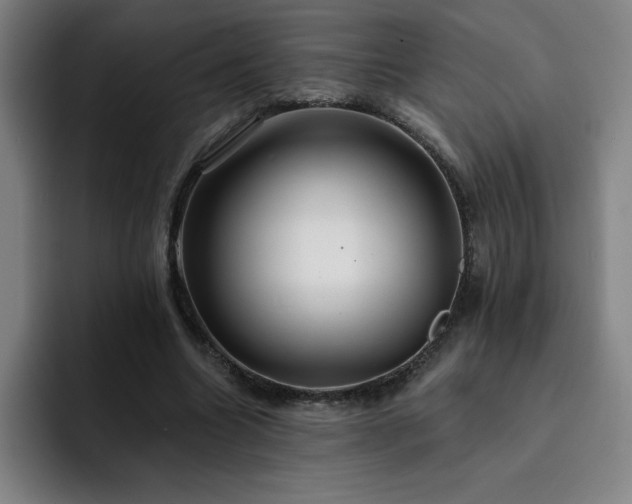 X0000092320538200709211331