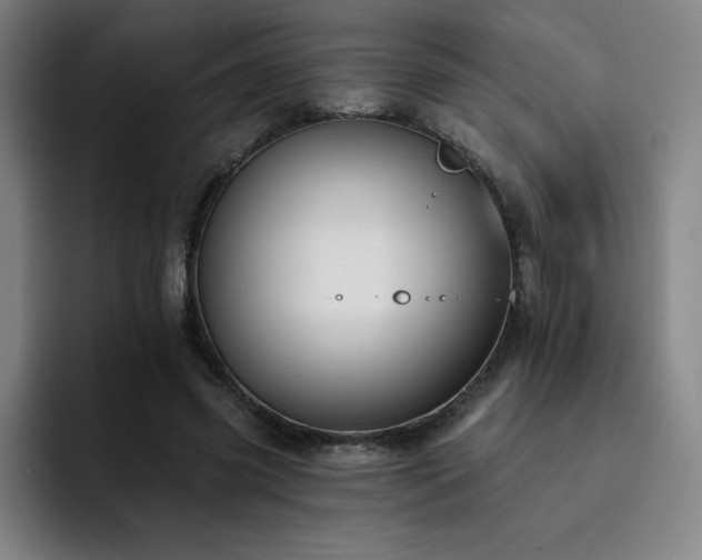 X0000092320541200709211331