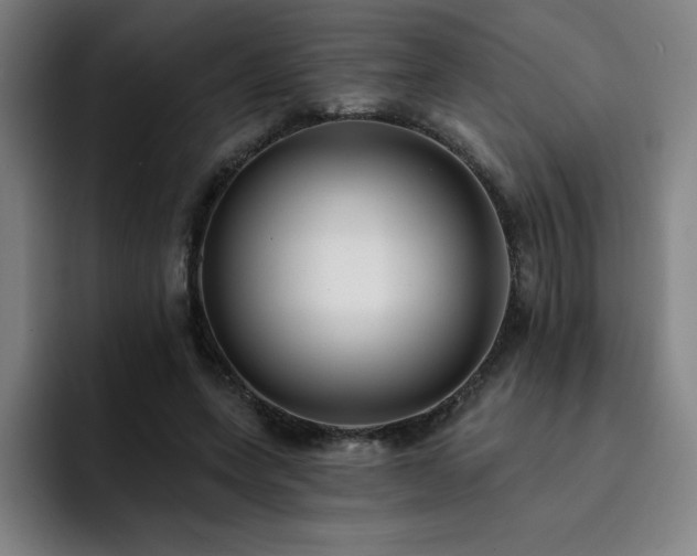 X0000092320543200709211331