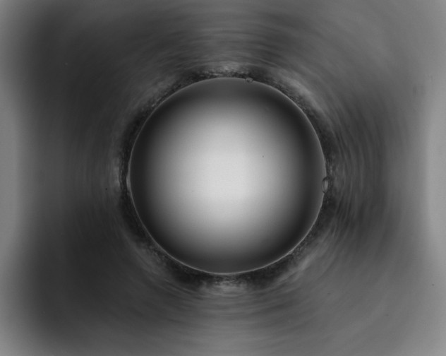 X0000092320546200709211331