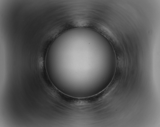 X0000092320549200709211331