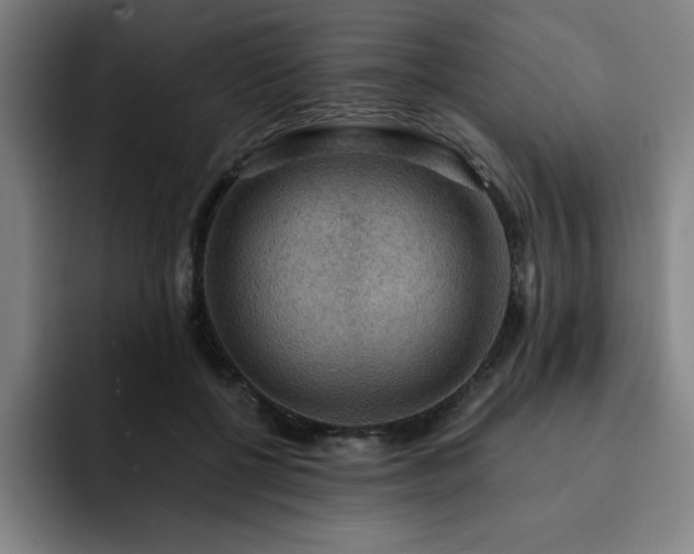 X0000092320552200709211331