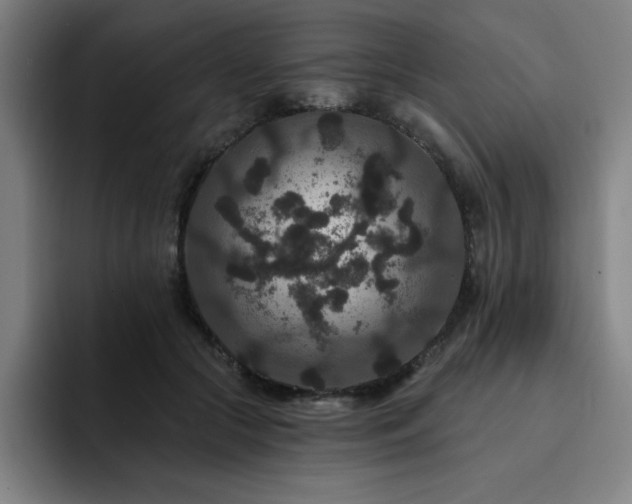 X0000092320553200709211331
