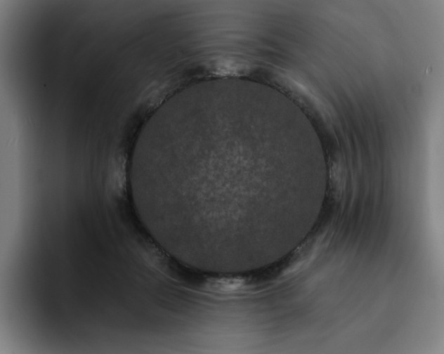 X0000092320554200709211331