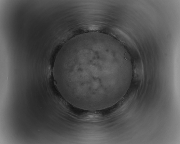 X0000092320555200709211331