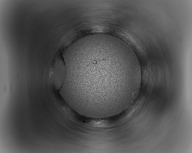 X0000092320557200709211331