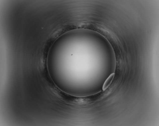 X0000092320558200709211331