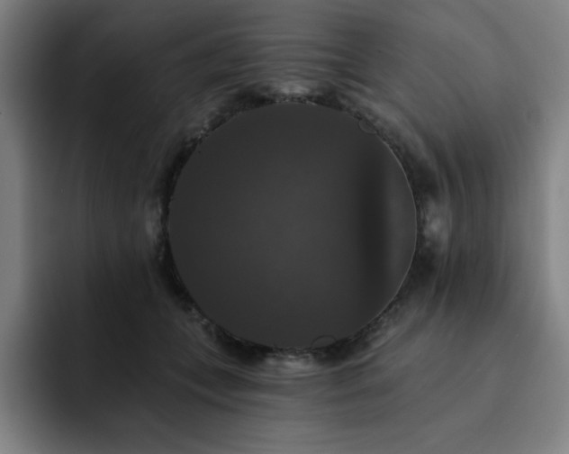 X0000092320559200709211331