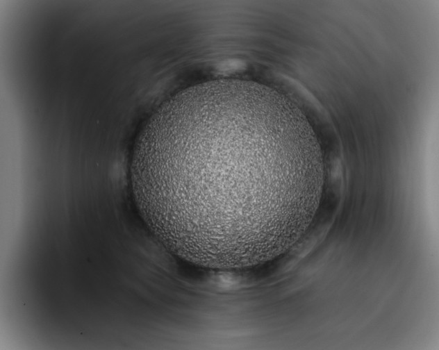 X0000092320565200709211331