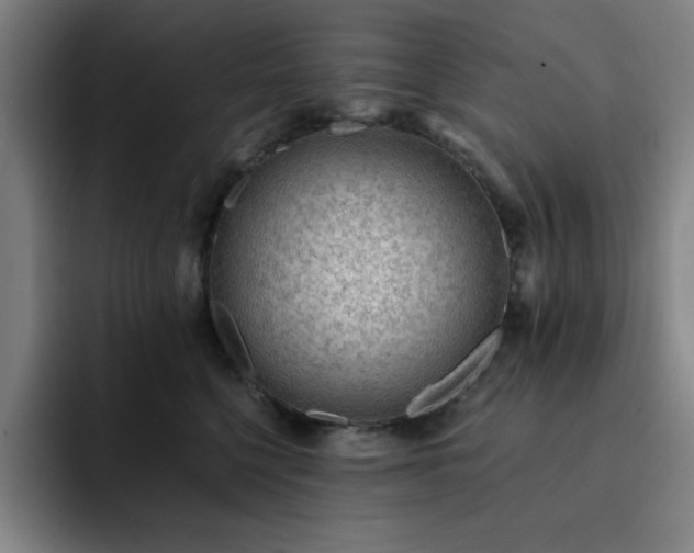 X0000092320568200709211331