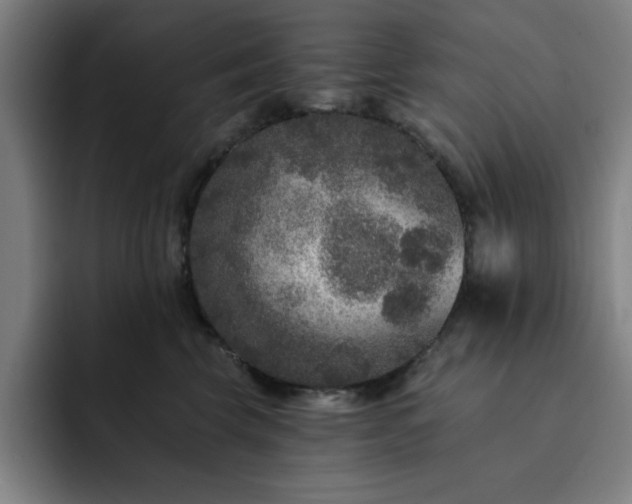 X0000092320569200709211331