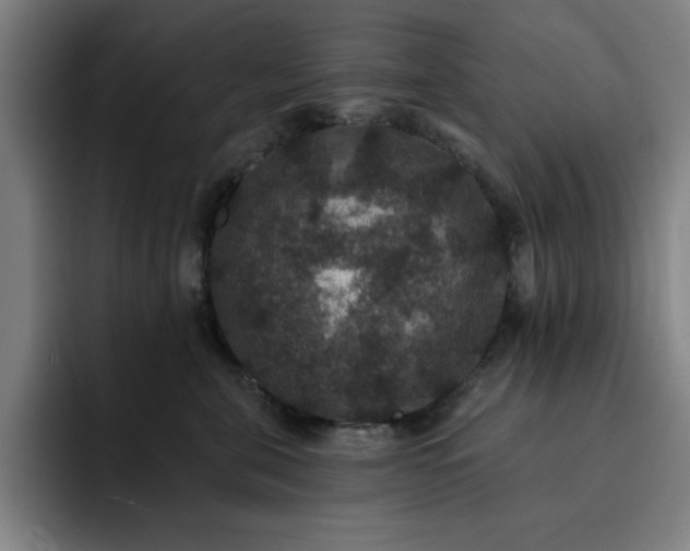 X0000092320571200709211331