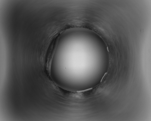 X0000092320576200709211331