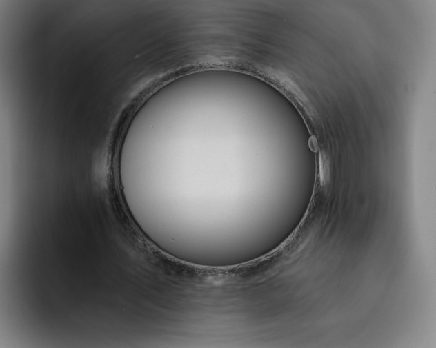 X0000092320579200709211331