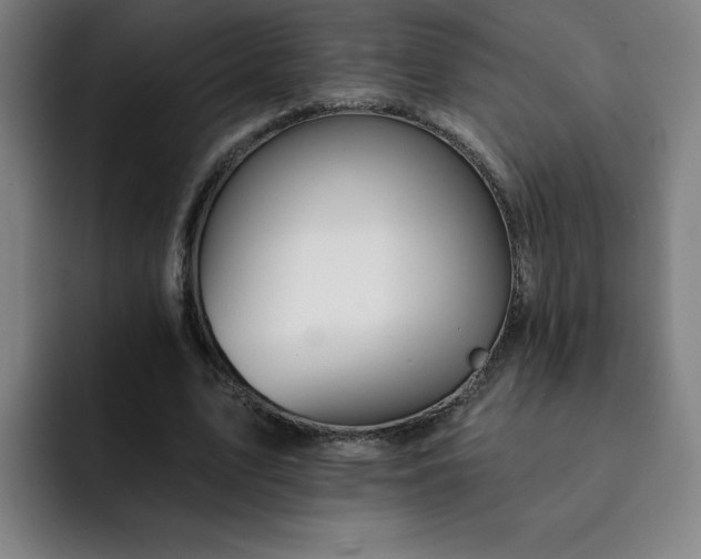 X0000092320583200709211331