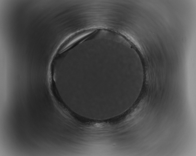 X0000092320584200709211331