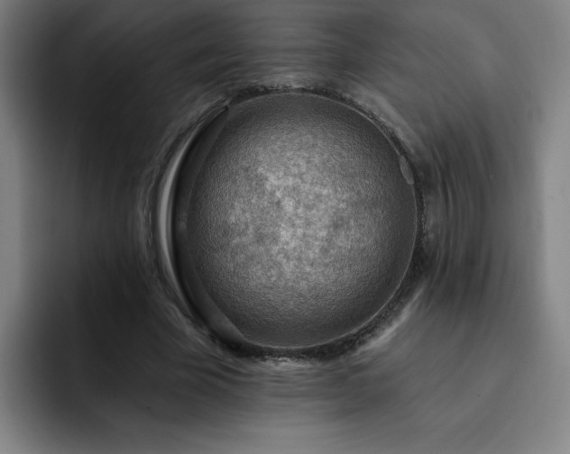 X0000092320585200709211331