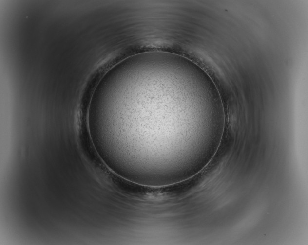 X0000092320591200709211331