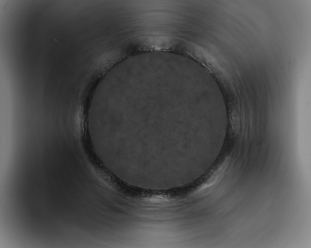 X0000092320594200709211331