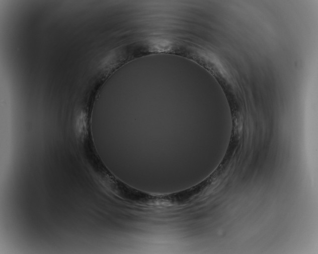 X0000092320598200709211331