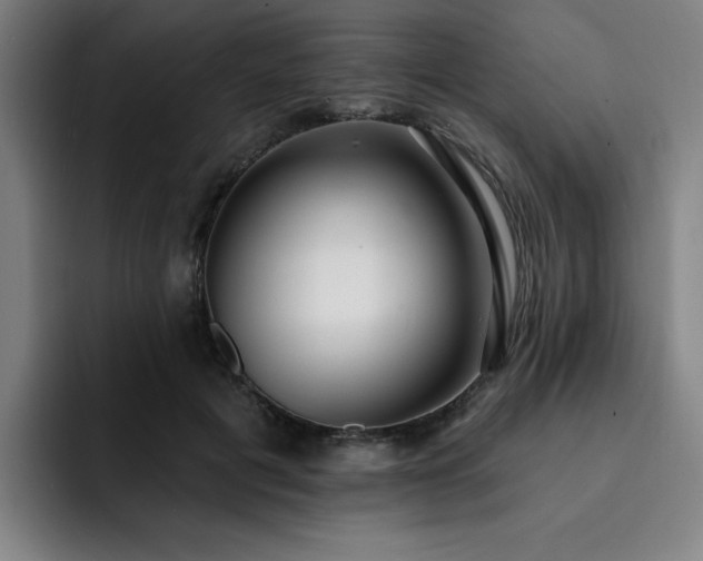 X0000092320601200709211331