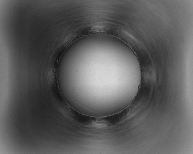 X0000092320603200709211331