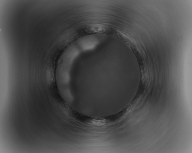 X0000092320606200709211331