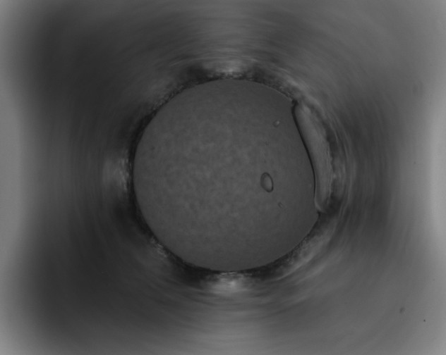X0000092320612200709211330