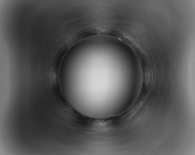 X0000092320613200709211330