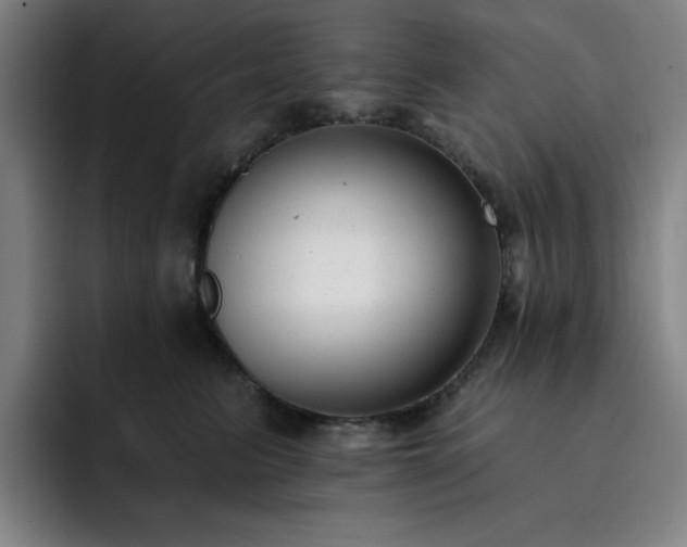 X0000092320615200709211330