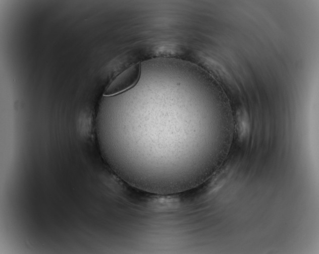 X0000092320619200709211330